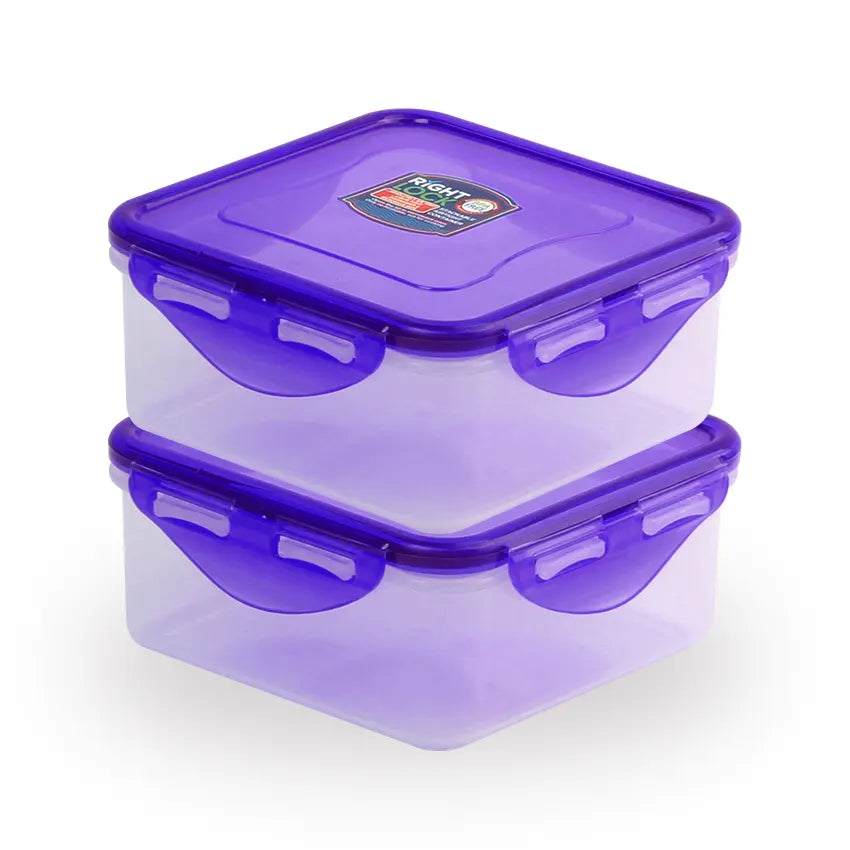 Right Lock Food Keeper 2pcs Set Medium in purple 600ml