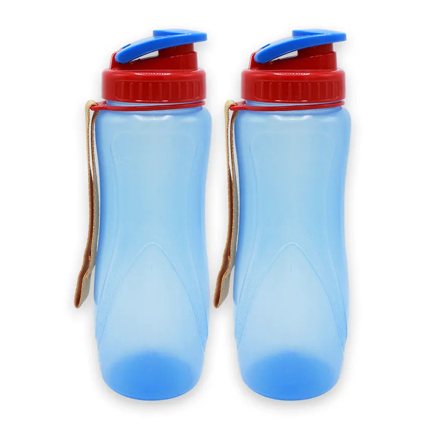 Spring Water Bottle 2 pcs set Medium in blue 850ml